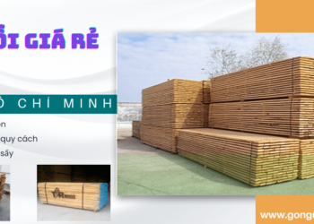 Bán gỗ sồi giá rẻ tại Tp Hồ Chí Minh