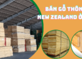 Bán gỗ thông New Zealand tại Hồ Chí Minh