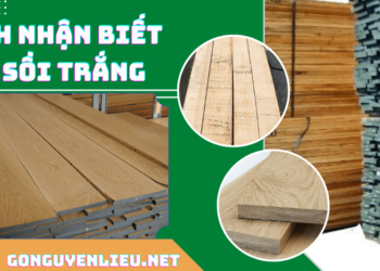 Cách nhận biết gỗ sồi trắng