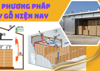 Các phương pháp sấy gỗ nguyên liệu hiện nay