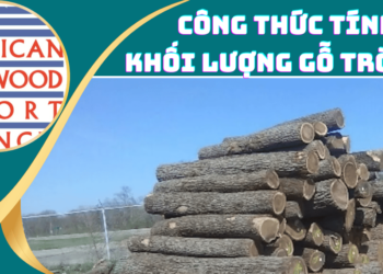 Công thức tính khối lượng gỗ tròn Mỹ