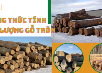 Công thức tính khối lượng gỗ tròn theo m3