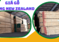 Giá gỗ thông New Zealand