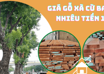 Giá gỗ xà cừ bao nhiêu tiền một khối