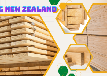 Tìm hiểu về gỗ thông New Zealand