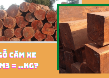 Gỗ Căm Xe 1m3 nặng bao nhiêu kg?