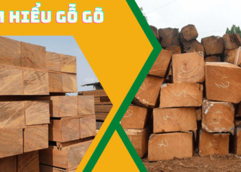 Tìm hiểu về gỗ gõ