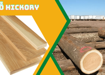Tìm hiểu về gỗ Hickory