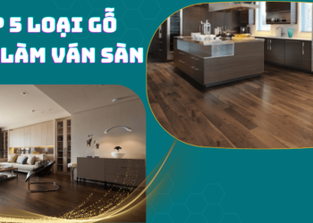 Top 5 loại gỗ tốt nhất để làm ván sàn