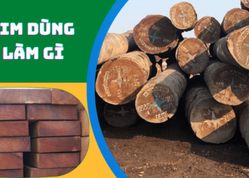 Gỗ Lim dùng để làm gì?