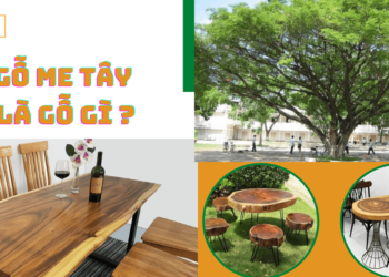 Gỗ Me Tây là gỗ gì?