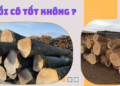Gỗ sồi nhập khẩu có tốt không?