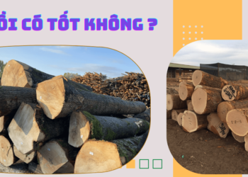 Gỗ sồi nhập khẩu có tốt không?