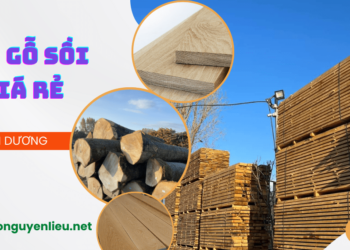 Bán gỗ sồi giá rẻ tại Bình Dương