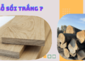 Gỗ sồi trắng là gỗ gì?