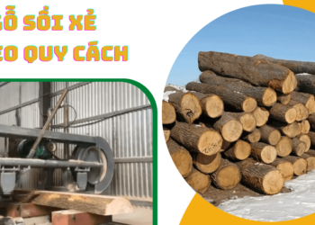 Bán gỗ sồi xẻ sấy theo quy cách