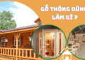 Gỗ thông nhập khẩu dùng để làm gì?
