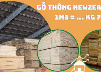 Gỗ thông New Zealand 1 mét khối nặng bao nhiêu kg?