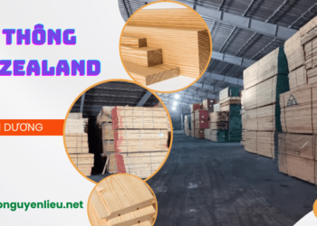 Bán gỗ thông New Zealand tại Bình Dương