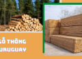 Tìm hiểu gỗ thông Uruguay