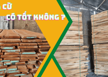 Gỗ xà cừ có tốt không?