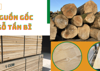 Nguồn gốc gỗ Tần bì (gỗ Ash)