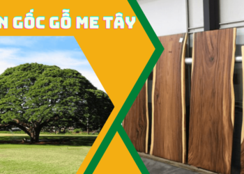 Gỗ me tây có nguồn gốc ở đâu?