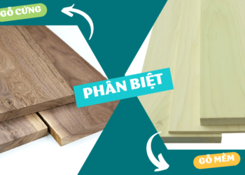 Phân biệt gỗ cứng và gỗ mềm nhập khẩu