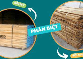 Phân biệt gỗ sồi Mỹ và gỗ sồi Châu Âu
