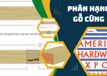 Tiêu chuẩn phân loại gỗ cứng theo NHLA