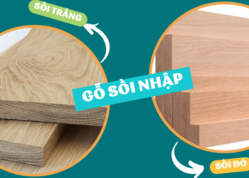 So sánh gỗ sồi trắng và gỗ sồi đỏ