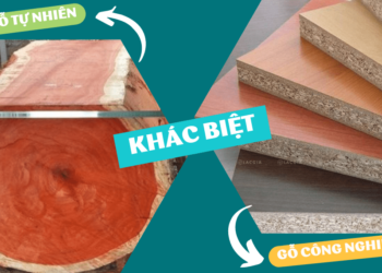 So sánh gỗ tự nhiên và gỗ công nghiệp