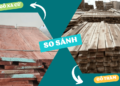 So sánh gỗ Xà Cừ và Gỗ Tràm