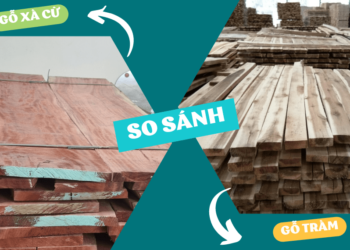 So sánh gỗ Xà Cừ và Gỗ Tràm