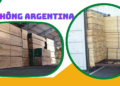 Tìm hiểu về gỗ thông Argentina