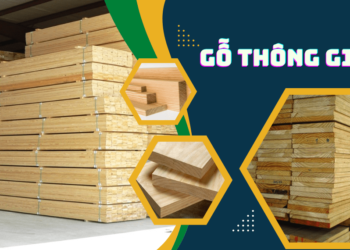 Bán gỗ thông giá rẻ