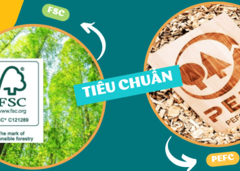Tiêu chuẩn FSC và PEFC là gì?