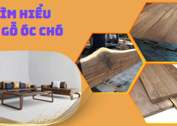 Tìm Hiểu Về Gỗ Óc Chó