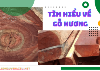 Tìm hiểu về gỗ hương
