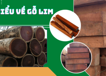 Tìm hiểu về gỗ lim