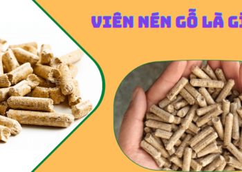 Viên nén gỗ là gì?