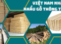 Việt Nam đang nhập khẩu gỗ thông từ những quốc gia nào?