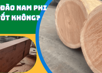 Gỗ xoan đào Nam Phi có tốt không ?