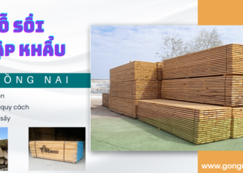 Cửa hàng bán gỗ sồi nhập khẩu tại Đồng Nai