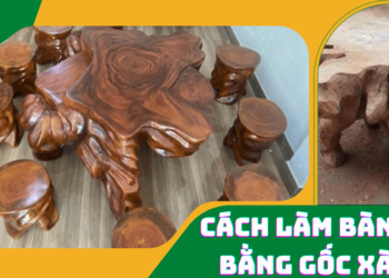 Cách làm bàn ghế bằng gốc cây xà cừ