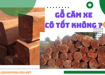 Gỗ căm xe có tốt không ?