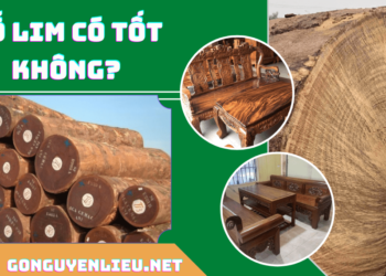 Gỗ lim có tốt không?
