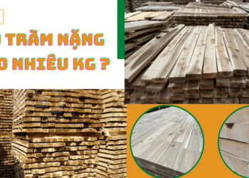 1m3 gỗ tràm nặng bao nhiêu kg?