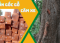 Nguồn gốc của gỗ căm xe