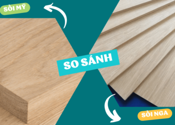 So sánh gỗ sồi Mỹ và gỗ sồi Nga